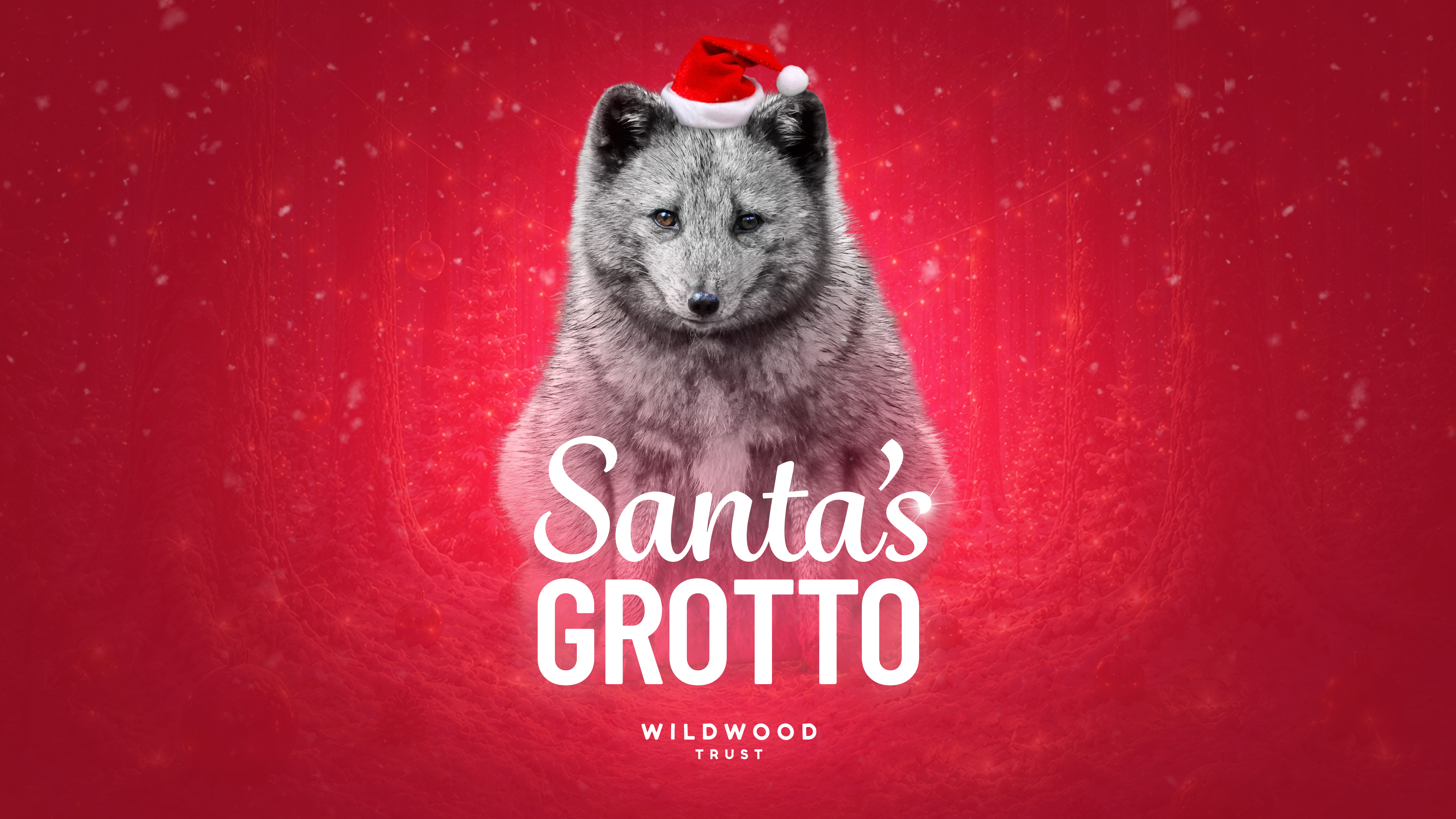 Christmas Grotto 2026 Trust (Landscape)