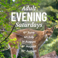 Summer Evening Sessions Devon Adult