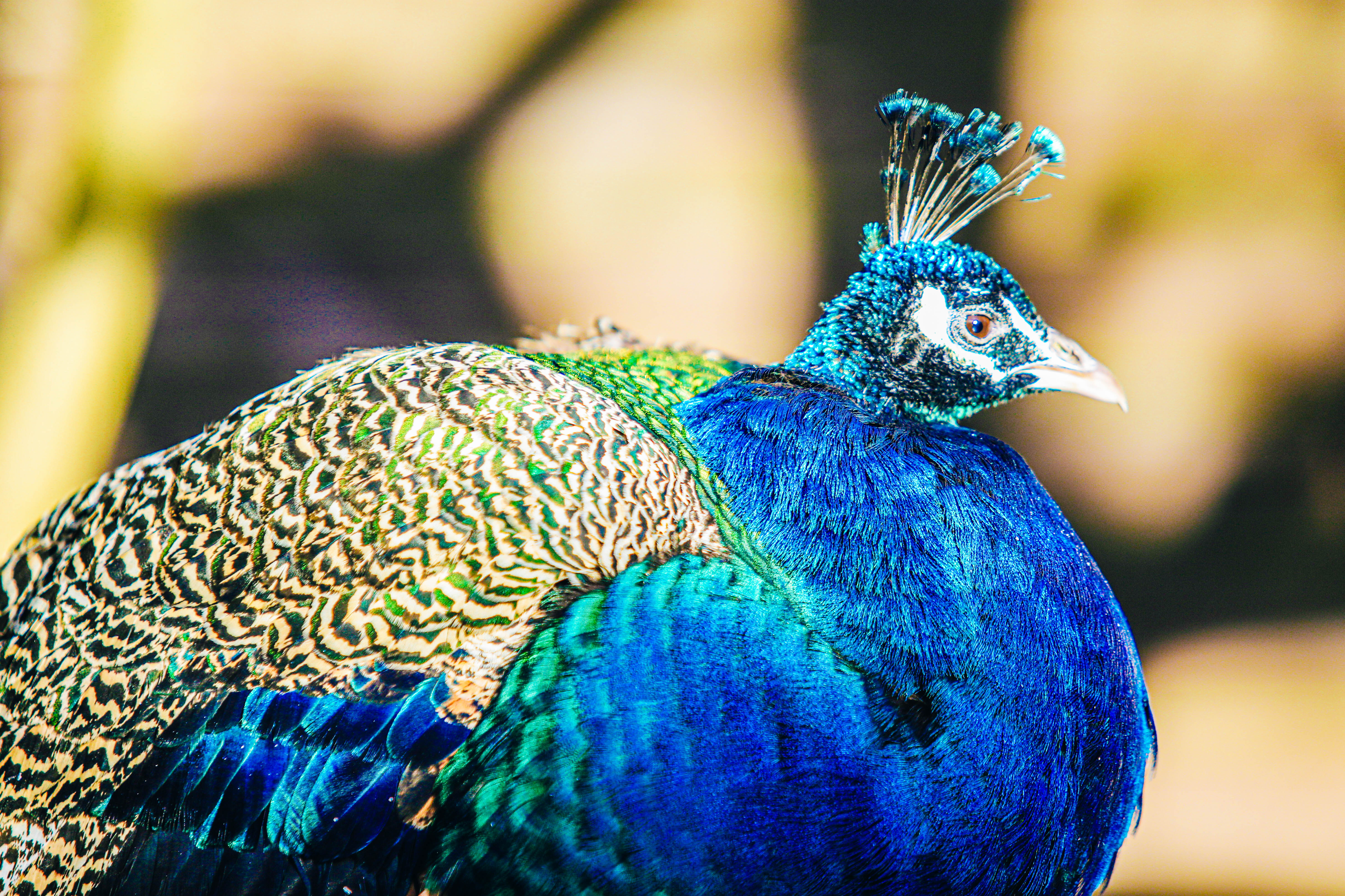 Credit Emma Herrod Photography (6)