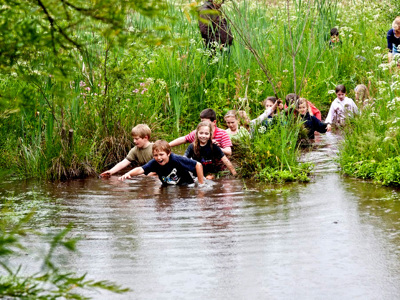 Camp Wild 06