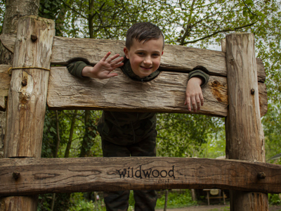 Saxon Village Stocks (3)