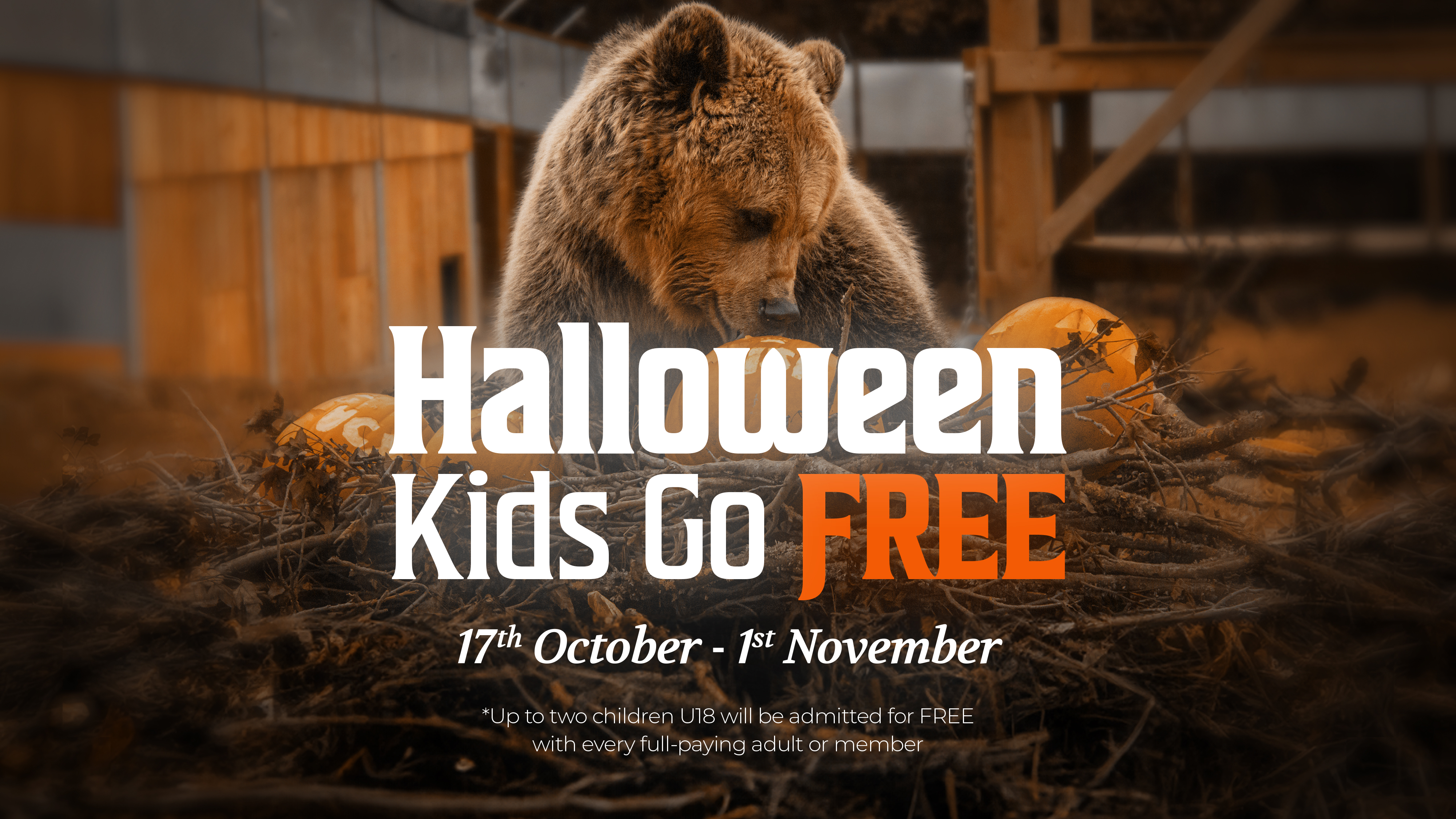 Wildwood Halloween Hero (Devon Website)