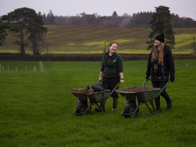 Tree Planting 15 (1)