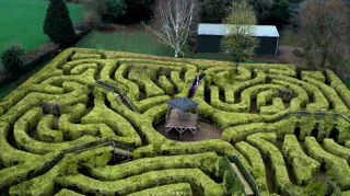 Maze 08