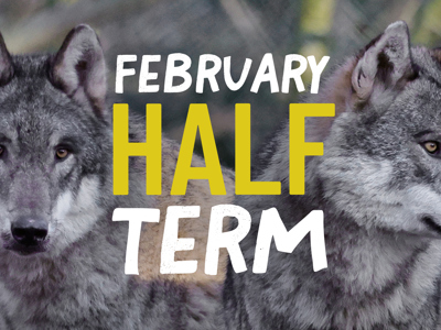 February Half Term Web Banner