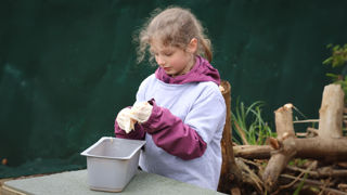 Devon May Junior Zoo Keeper